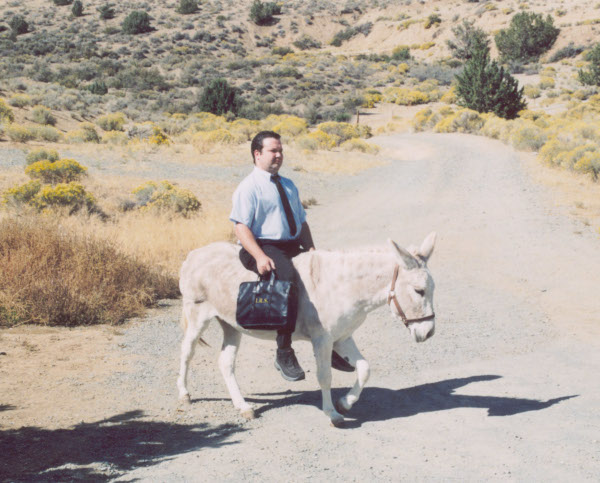 

	THE IRS IS ON MY ASS	

