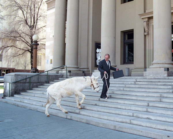 

	I'LL DRAG YOUR ASS INTO COURT

