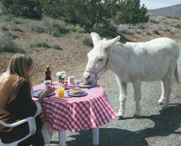 I'LL HAVE YOUR ASS FOR BREAKFAST