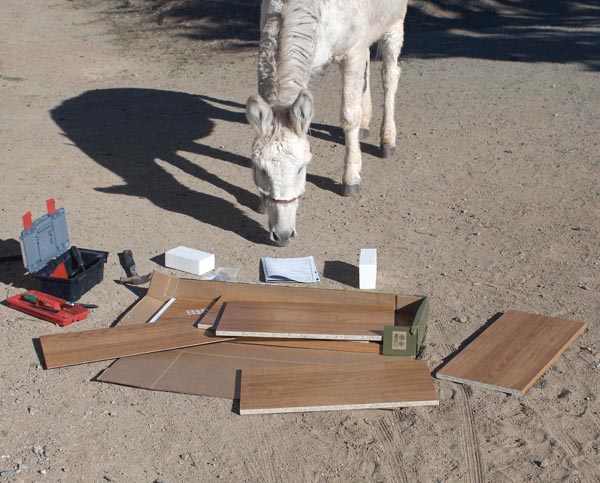 SOME ASS-EMBLY REQUIRED